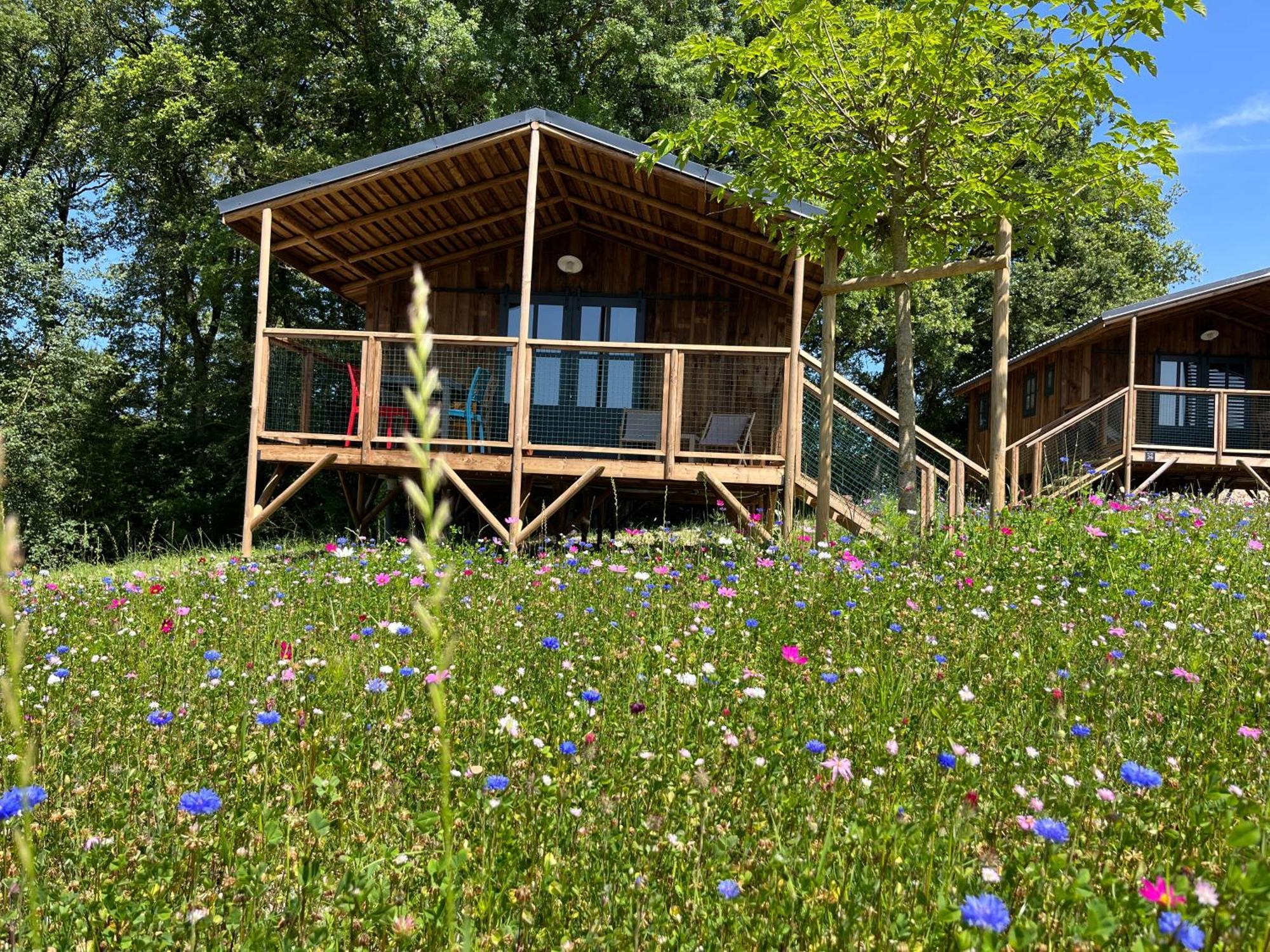 La Buissonniere Lodges Chisseaux Exterior foto